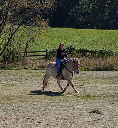 HorseID: 2277194 Colonel Freedom Farm Odin - PhotoID: 1050607