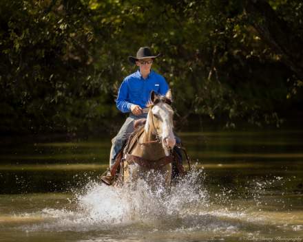 HorseID: 2280903 Sundance - PhotoID: 1055699