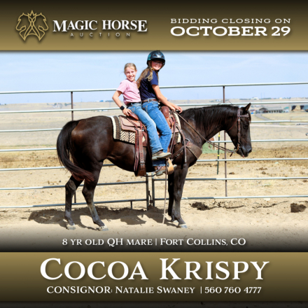 HorseID: 2282550 Cocoa Krispy - PhotoID: 1057805