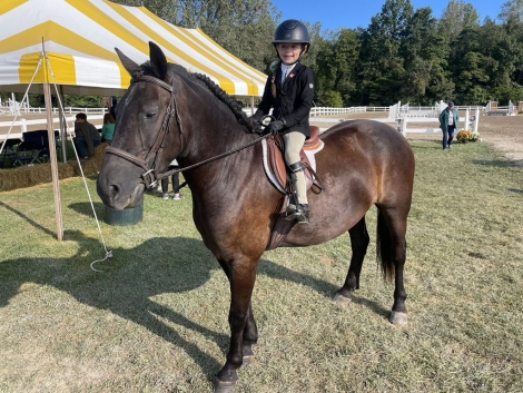 HorseID: 2282843 Rio ES - PhotoID: 1058288