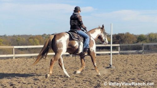 HorseID: 2282903 Lucky Shes Mine - PhotoID: 1058373