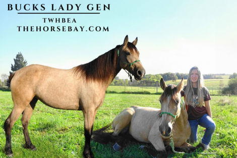 HorseID: 2283016 Bucks Lady Gen - PhotoID: 1058526