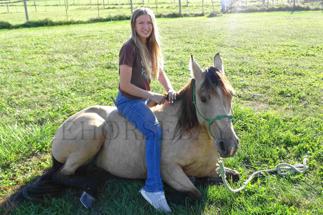 HorseID: 2283016 Bucks Lady Gen - PhotoID: 1058528