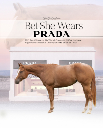 HorseID: 2283096 Bet She Wears Prada - PhotoID: 1058684