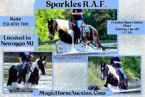 HorseID: 2283107 Sparkle R.A.F. - PhotoID: 1058694