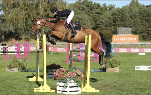 HorseID: 2283498 Cati des Marquets - PhotoID: 1059171