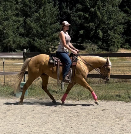 HorseID: 2284063 Shesa Nu Step - PhotoID: 1059926