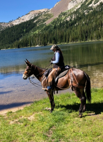 HorseID: 2284071 Jasper, Mule - PhotoID: 1060007