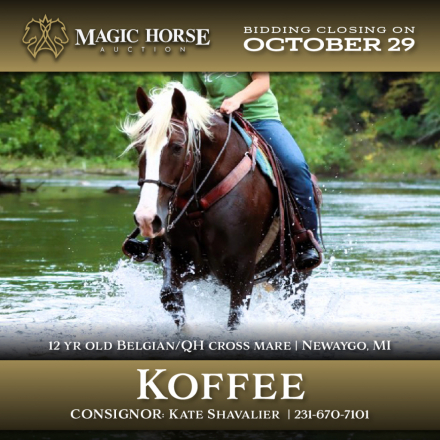 HorseID: 2284145 Koffee - PhotoID: 1060106