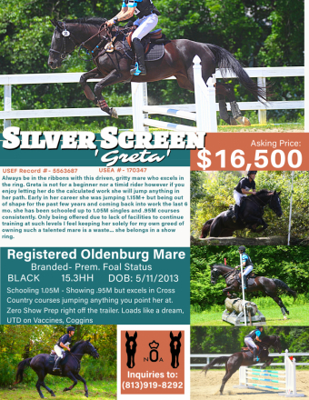 HorseID: 2284588 Silver Screen - PhotoID: 1060702