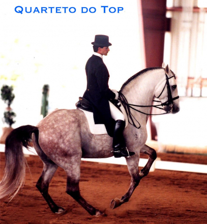 HorseID: 2285032 Uma - PhotoID: 1080388