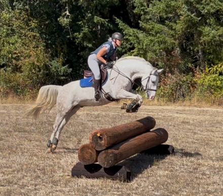 HorseID: 2291016 Calvin Klein - PhotoID: 1086070