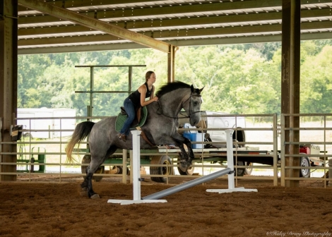 HorseID: 2247457 BLUEBELL - PhotoID: 1045874