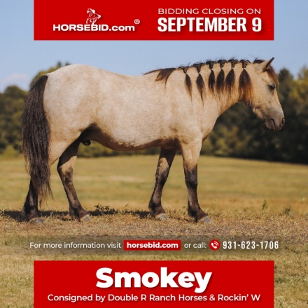 HorseID: 2253893 Smokey - PhotoID: 1029661