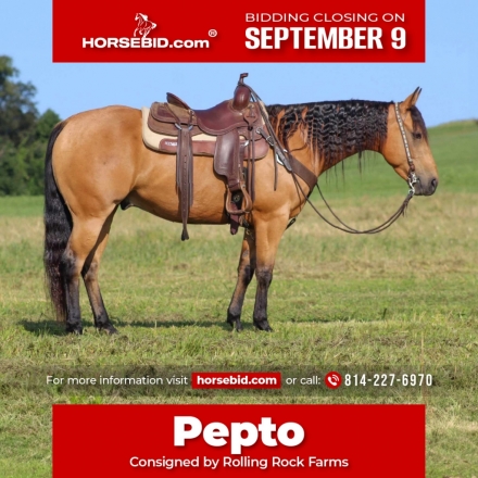 HorseID: 2260687 Walking away pepto - PhotoID: 1036982