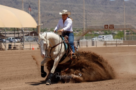 HorseID: 2268444 Freckles Serenade - PhotoID: 1057962