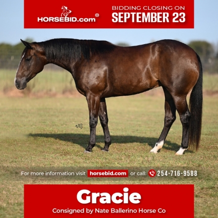 HorseID: 2275761 BETS ON GRACE - PhotoID: 1048791