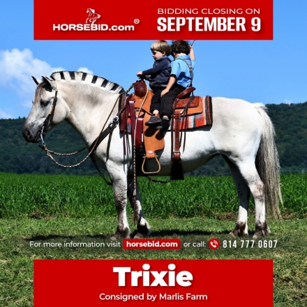 HorseID: 2275762 Trixie - PhotoID: 1048787