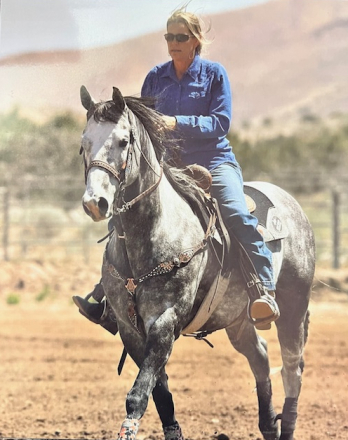 HorseID: 2276362 STONEBRIDGE - PhotoID: 1085415