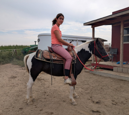 HorseID: 2276443 Twinkle toes - PhotoID: 1084822