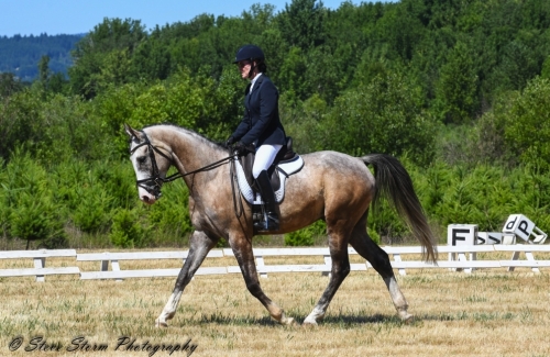 HorseID: 2277631 Martini Shot - PhotoID: 1051233