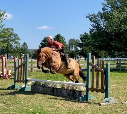 HorseID: 2280905 Austin - PhotoID: 1055693