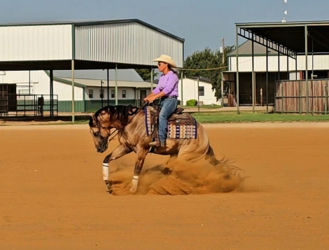 HorseID: 2281104 Smoke These Chex - PhotoID: 1055952