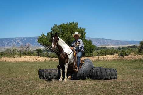 HorseID: 2281134 Mavericks Taxi Ride - PhotoID: 1055983