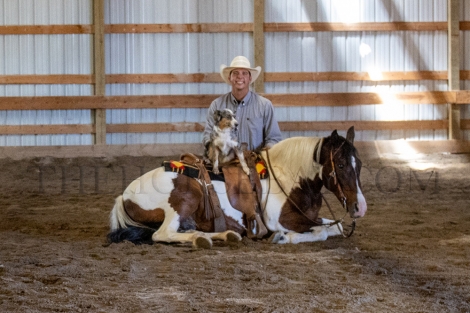 HorseID: 2281134 Mavericks Taxi Ride - PhotoID: 1055984