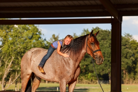 HorseID: 2281182 Jazzy Roan - PhotoID: 1056030