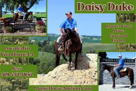 HorseID: 2281185 Daisy Duke - PhotoID: 1056038