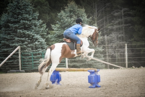 HorseID: 2281232 Chrome DW - PhotoID: 1056178