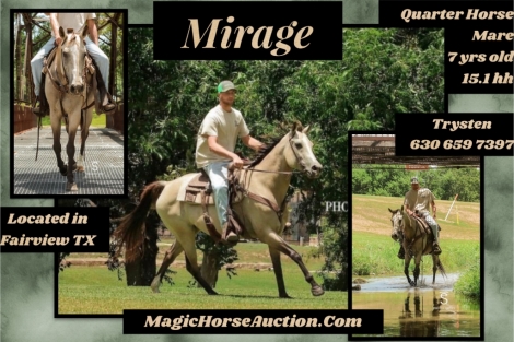 HorseID: 2281570 Mirage - PhotoID: 1056495