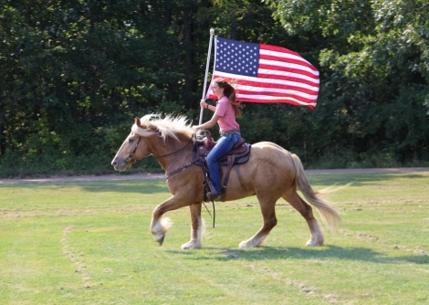 HorseID: 2281738 Blackstones Golden Boy - PhotoID: 1056646