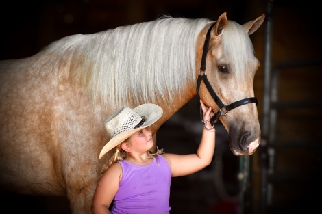 HorseID: 2281757 Hawk - PhotoID: 1056736