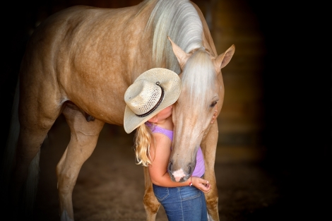 HorseID: 2281757 Hawk - PhotoID: 1056739