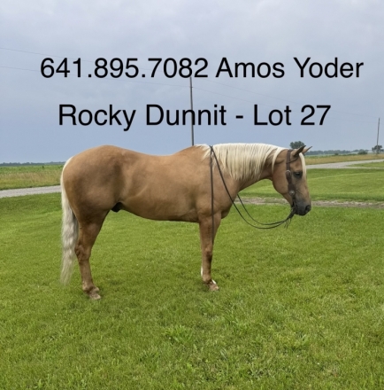 HorseID: 2281803 Rocky Dunnit - PhotoID: 1056812