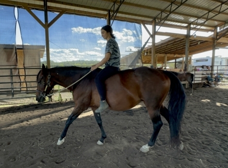 HorseID: 2281867 Copenhagen Angel - PhotoID: 1058081