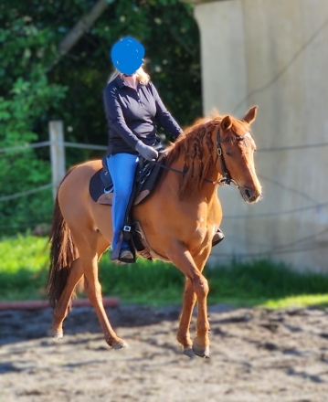 HorseID: 2281876 Ella - PhotoID: 1057143