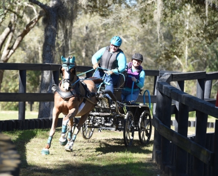 HorseID: 2281899 Huckleberry Express - PhotoID: 1057304