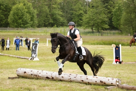 HorseID: 2281903 Cyrus - PhotoID: 1056903