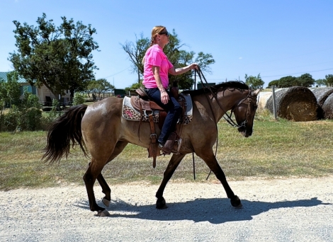 HorseID: 2281913 Dashin In The Bluegrass - PhotoID: 1056917