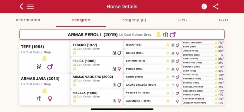 HorseID: 2281946 Amras Perol II - PhotoID: 1056969