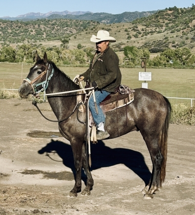 HorseID: 2282017 Diamond M Bar Santiago - PhotoID: 1057079