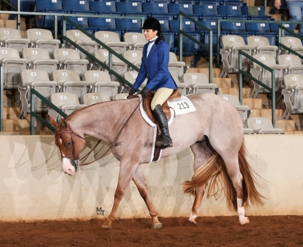 HorseID: 2282341 Coastin For A Kiss - PhotoID: 1057514