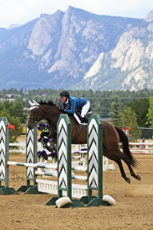 HorseID: 2282358 JJs Champ - PhotoID: 1057541