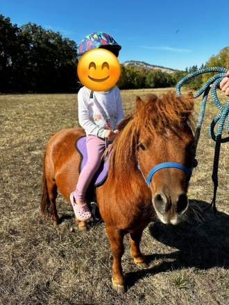 HorseID: 2282407 Teddy - PhotoID: 1057601