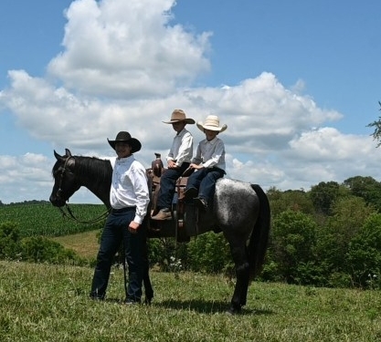 HorseID: 2282488 Cowboys Blue Duster - PhotoID: 1057702