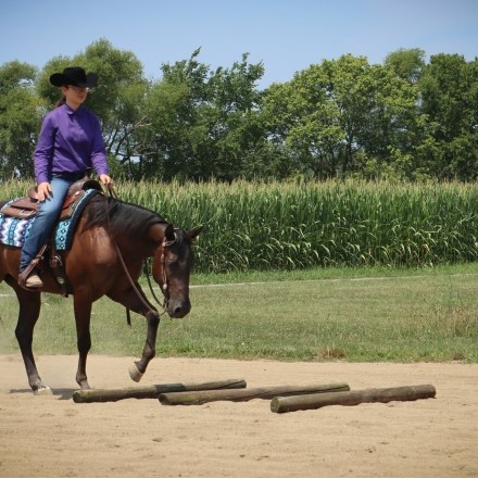 HorseID: 2282492 Smokin Boy Named Sue - PhotoID: 1057715