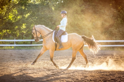 HorseID: 2282558 Ms Bueno Startlet - PhotoID: 1057820